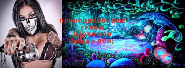ешки Вязьма
