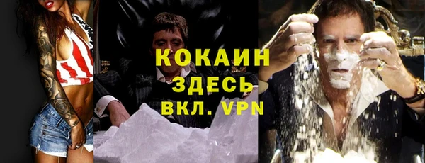 ешки Вязьма